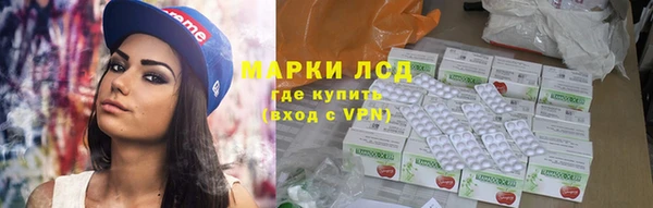 мяу мяу мука Алексеевка