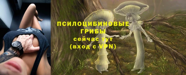 бошки Абинск