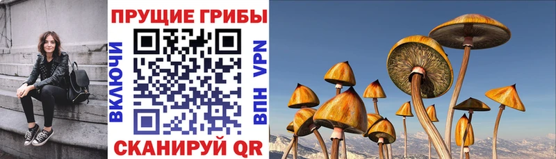 Псилоцибиновые грибы прущие грибы  цены   Янаул 