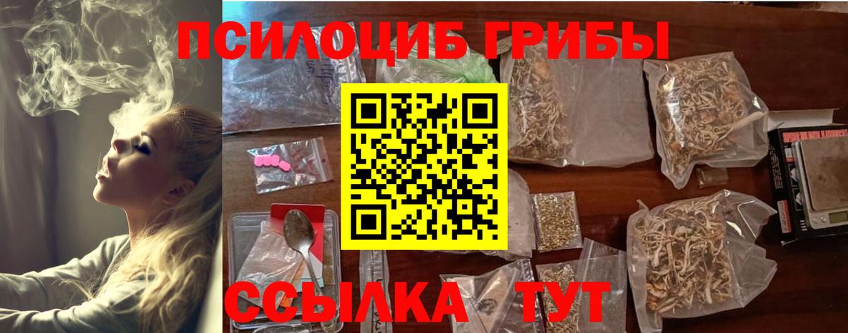 Янаул  Псилоцибиновые грибы Psilocybine cubensis  Вход с VPN 